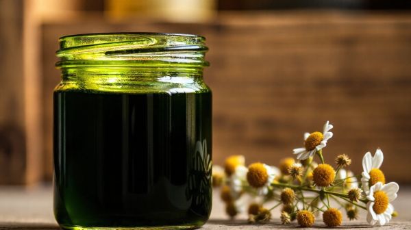 3 raisons de privilégier le CBD bio de Chanvre du Griffoul